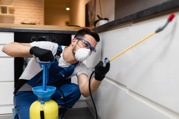 Best Pest Control Near Me  in Bonner Springs, KS