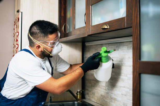 Best Cockroach Control Services  in Bonner Springs, KS