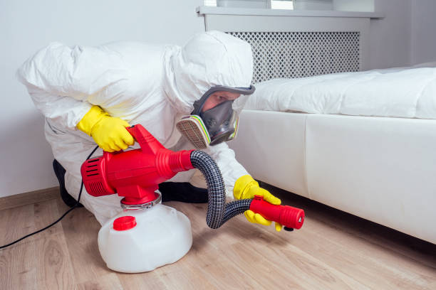 Best Wasp Removal Services  in Bonner Springs, KS